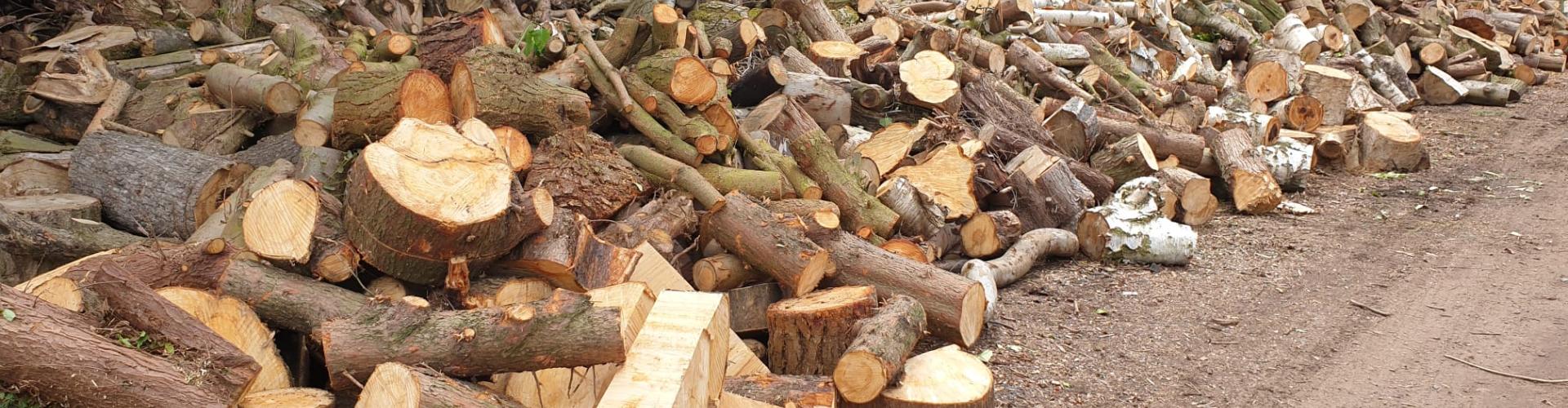 Timber
